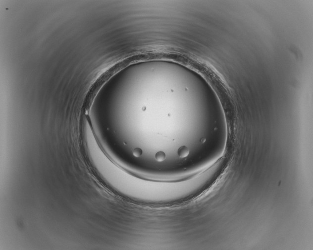 X0000112061065200908111407