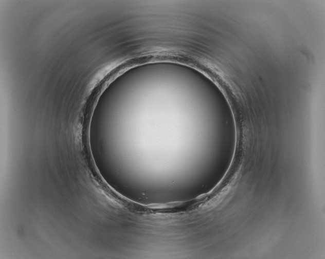 X0000112061066200908111407