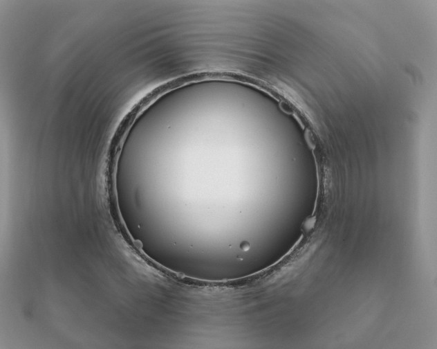 X0000112061068200908111407