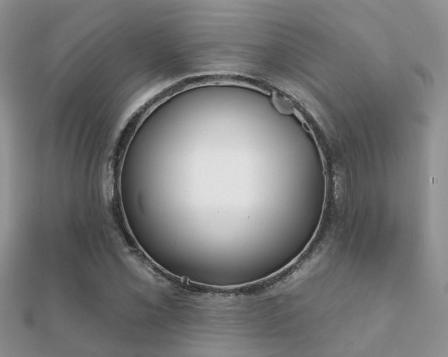 X0000112061069200908111407