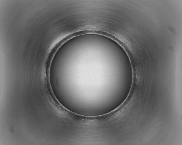 X0000112061070200908111407