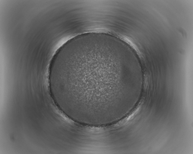 X0000112061071200908111407