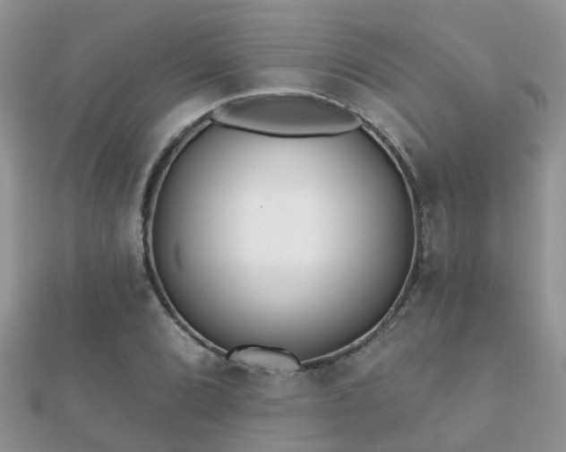 X0000112061072200908111407