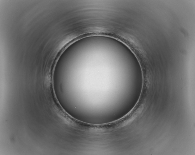 X0000112061073200908111407
