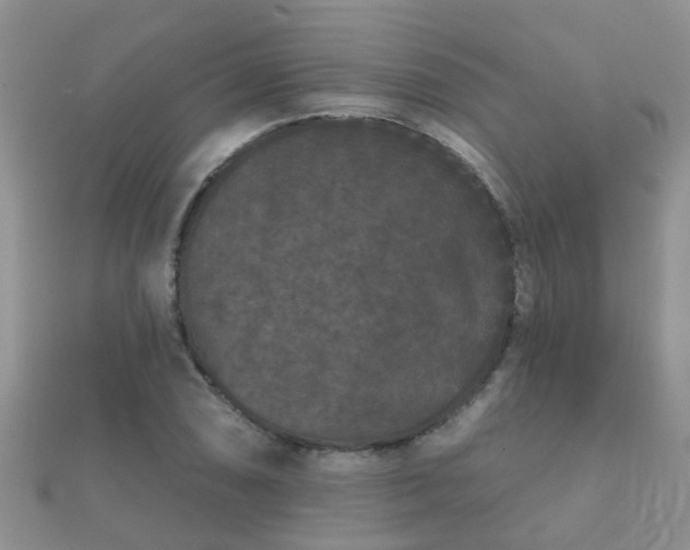 X0000112061074200908111407