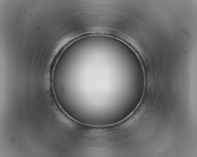 X0000112061075200908111407