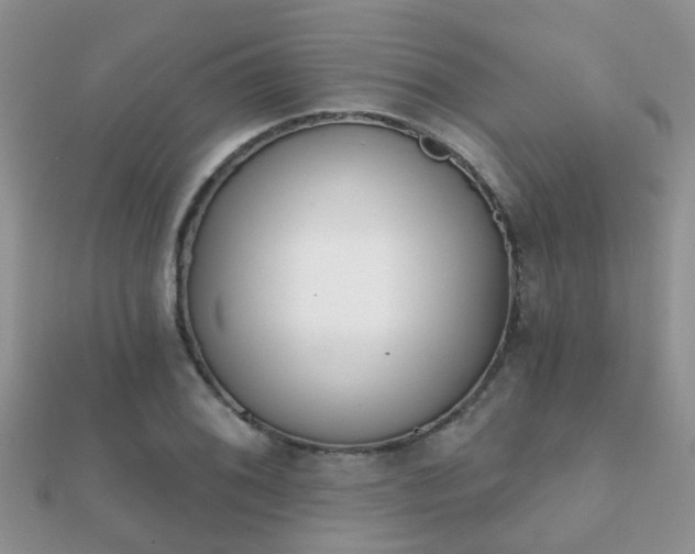 X0000112061076200908111407