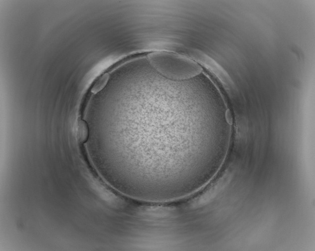 X0000112061077200908111407