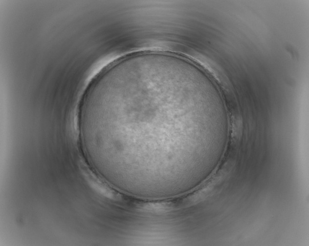 X0000112061078200908111407