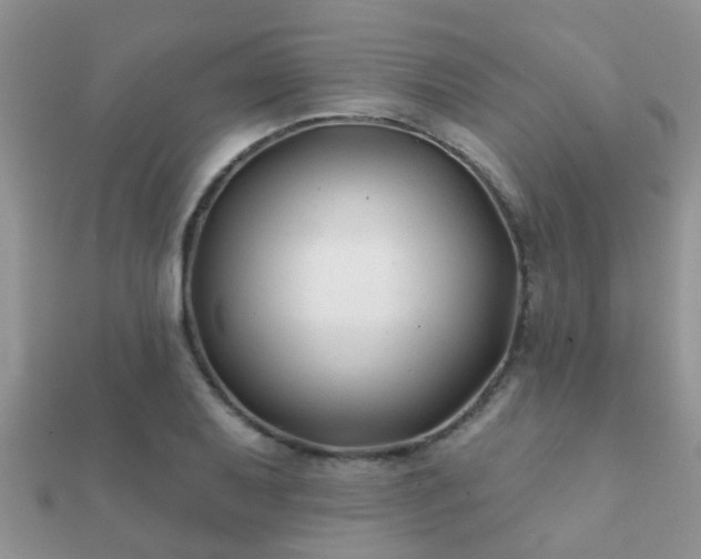 X0000112061079200908111407