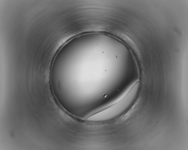 X0000112061081200908111407