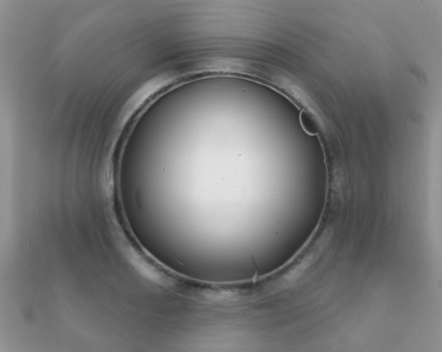 X0000112061082200908111407