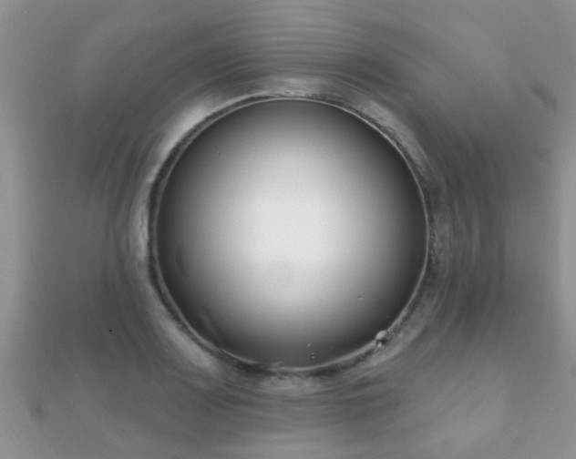 X0000112061083200908111407