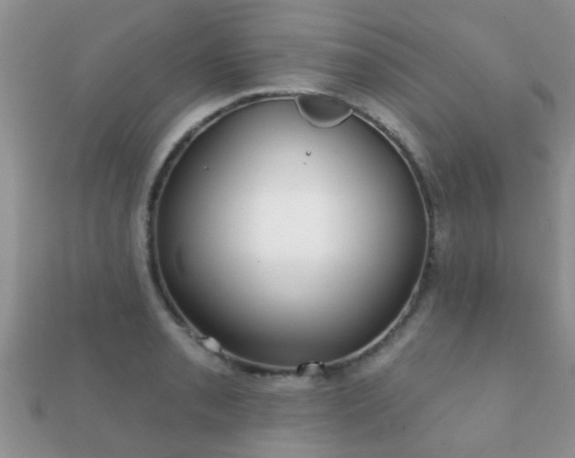 X0000112061085200908111407