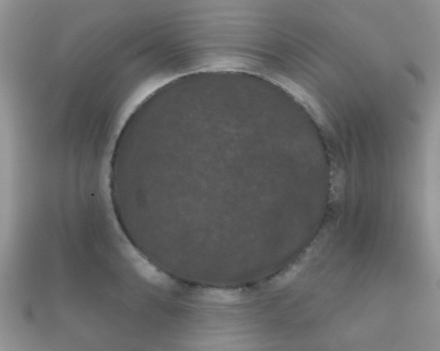 X0000112061086200908111407