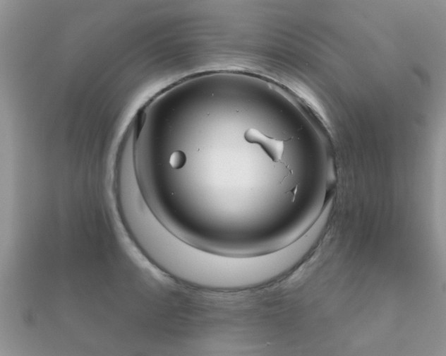 X0000112061088200908111407