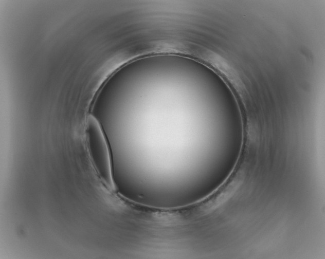 X0000112061089200908111407