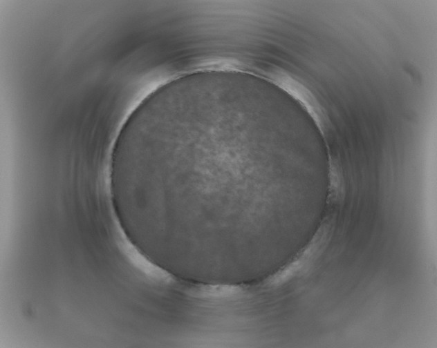 X0000112061090200908111407