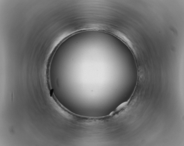 X0000112061091200908111407