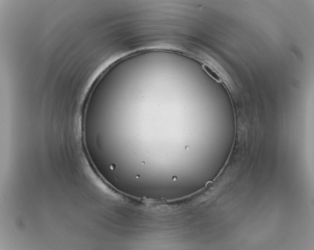 X0000112061092200908111407