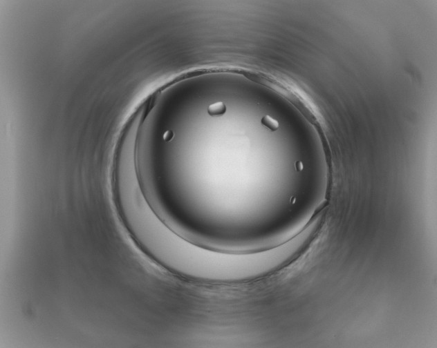 X0000112061093200908111407