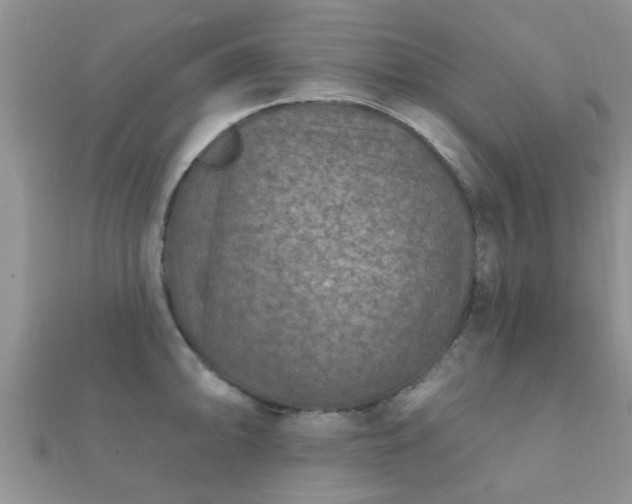 X0000112061094200908111407