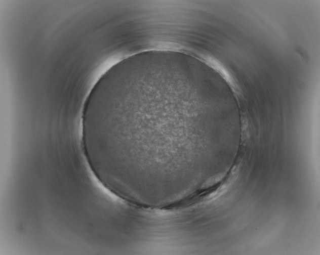 X0000112061095200908111407