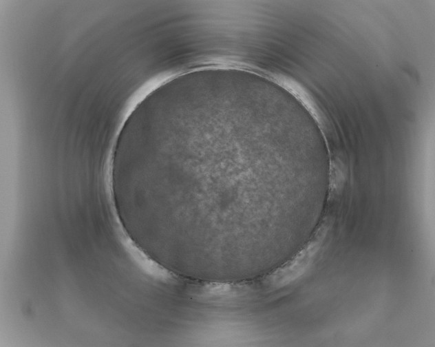 X0000112061098200908111407