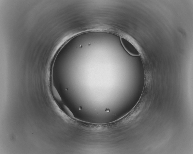X0000112061099200908111407