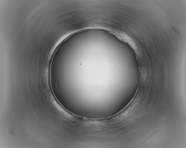 X0000112061100200908111407
