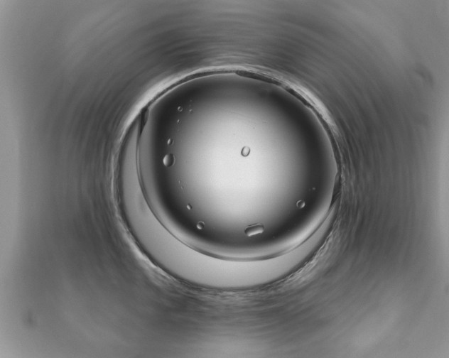 X0000112061101200908111407