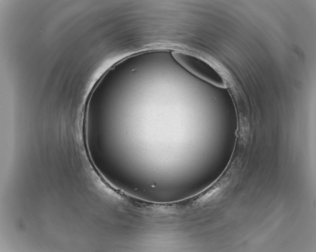 X0000112061102200908111407
