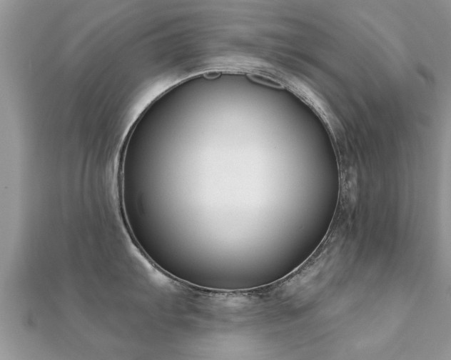 X0000112061103200908111407