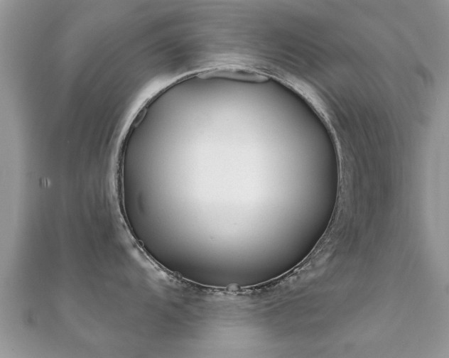 X0000112061104200908111407
