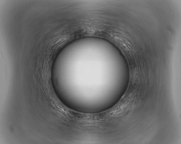 X0000112061105200908111406