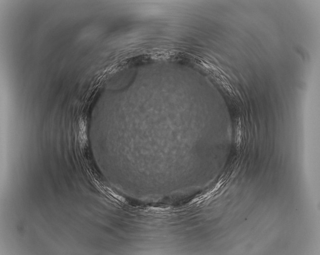 X0000112061106200908111406
