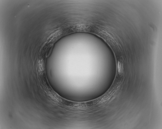 X0000112061107200908111406