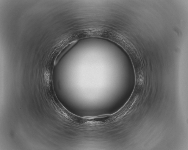 X0000112061108200908111406