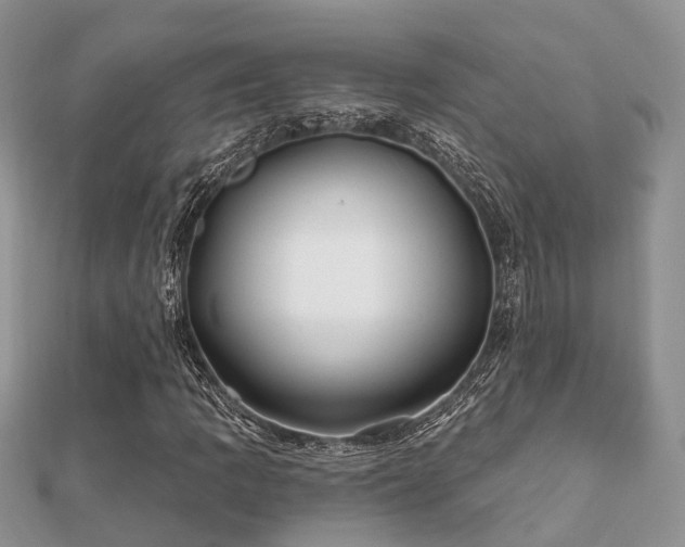 X0000112061109200908111406