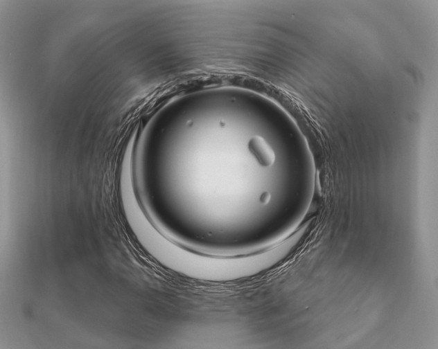 X0000112061110200908111406