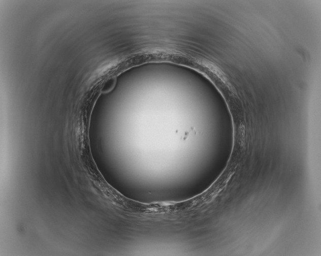 X0000112061111200908111406