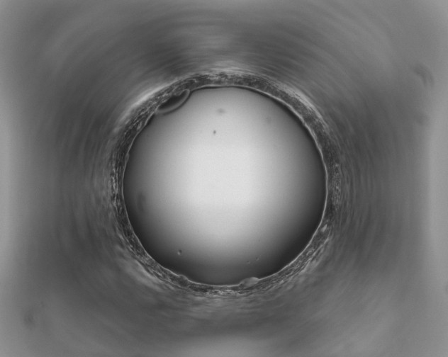 X0000112061112200908111406