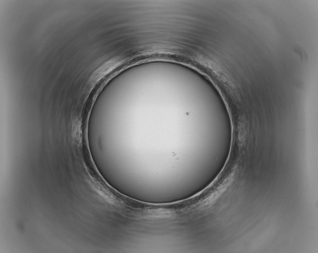 X0000112061113200908111406