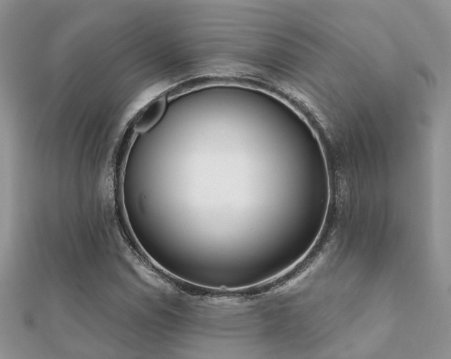 X0000112061114200908111406
