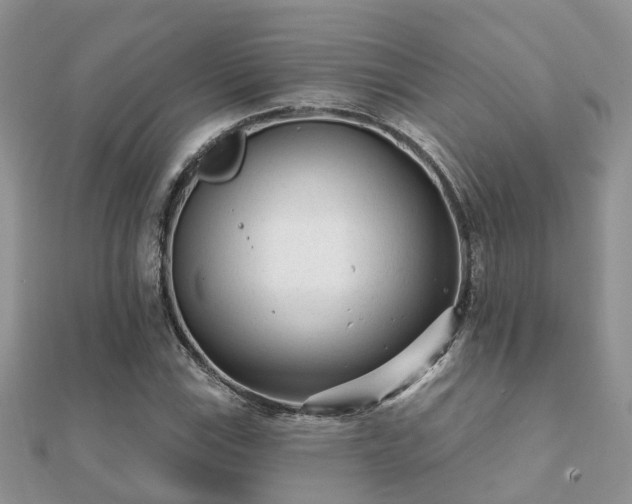 X0000112061115200908111406