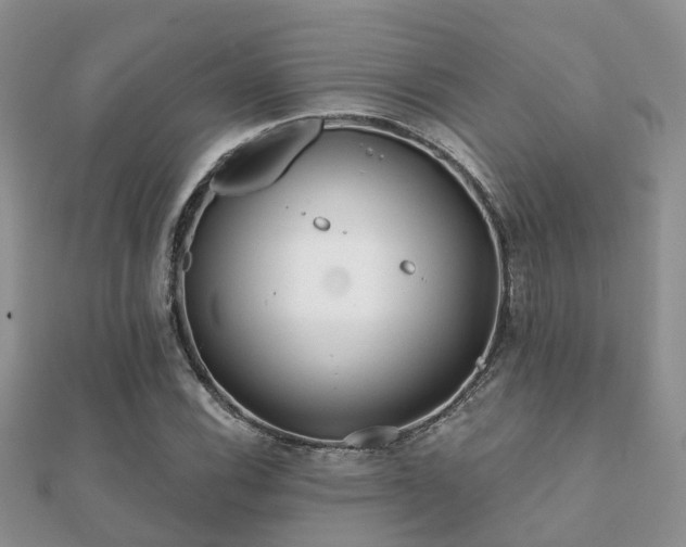 X0000112061116200908111406