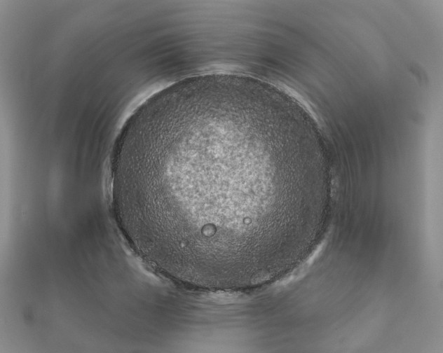 X0000112061117200908111406