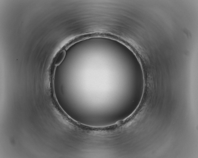 X0000112061118200908111406