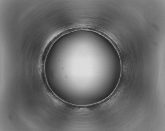 X0000112061119200908111406
