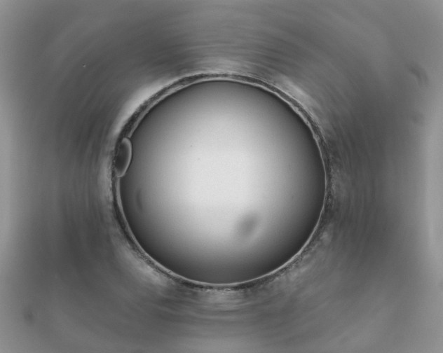 X0000112061120200908111406